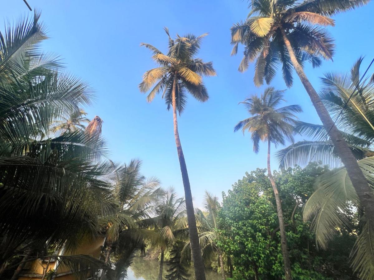 Kyel Villa Guest House Arambol Exterior foto